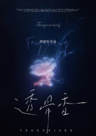透骨香料粉